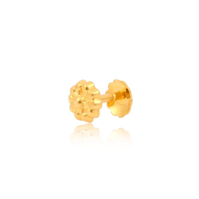Alternative view of Introduction to 22kt Nose Pins