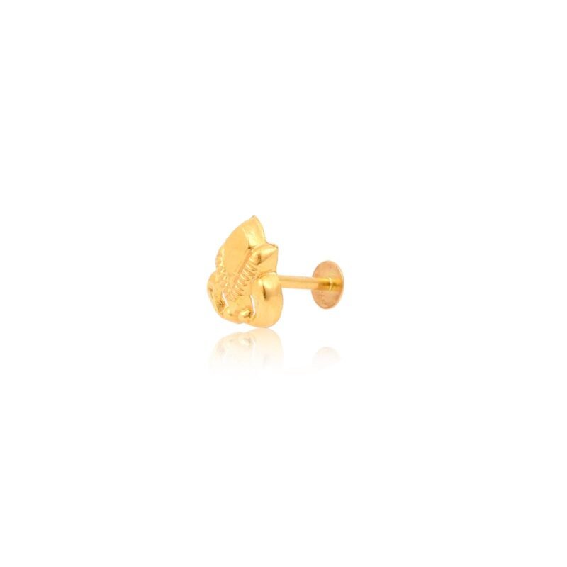 Alternative view of History and Evolution of Nose Pin Styles